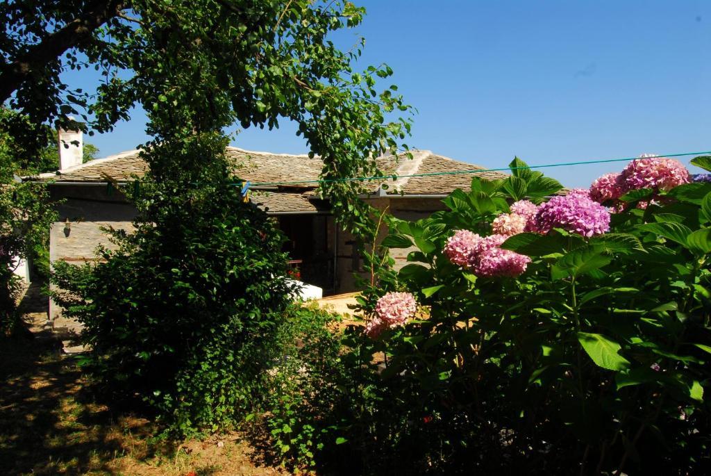 Archontiko Iatridis Hotel Mourésion Exterior foto