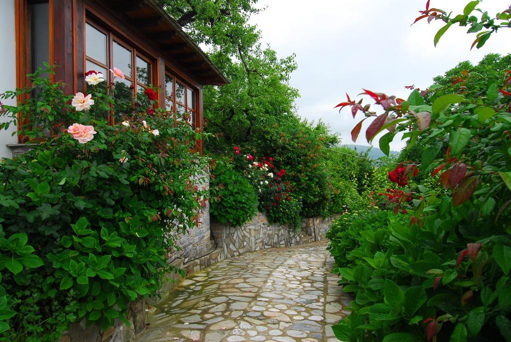 Archontiko Iatridis Hotel Mourésion Exterior foto